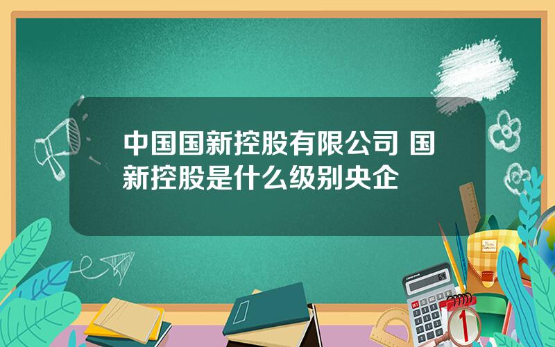 中国国新控股有限公司 国新控股是什么级别央企